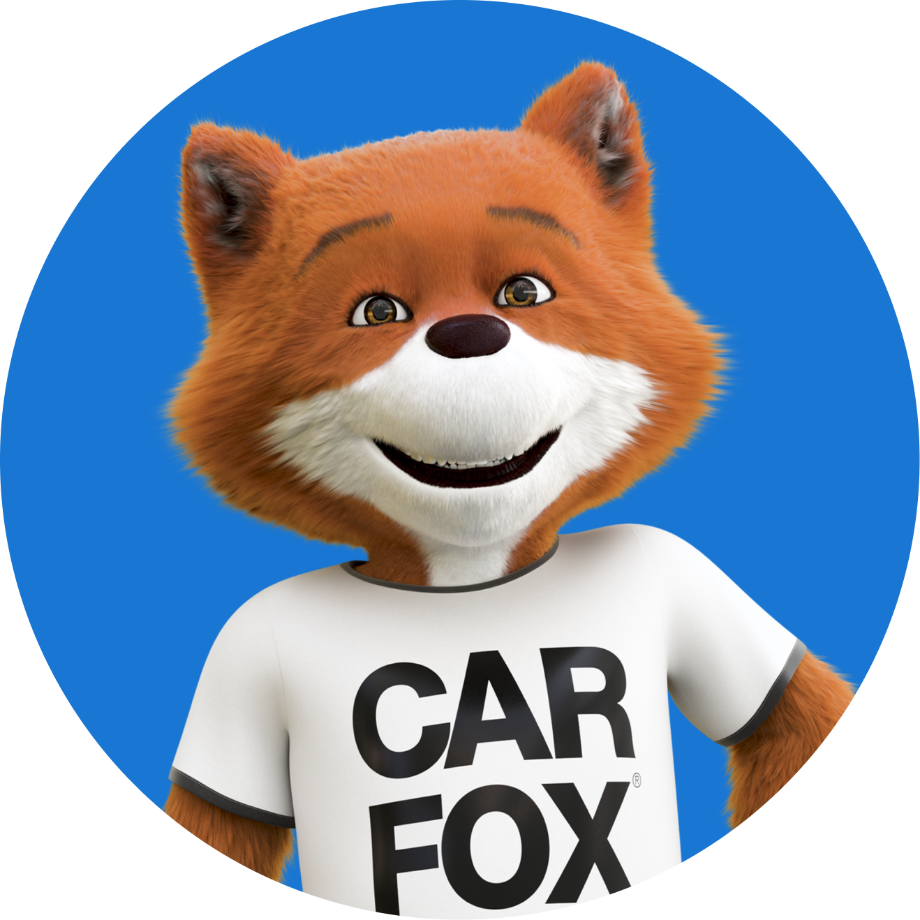 Carfox-ikon